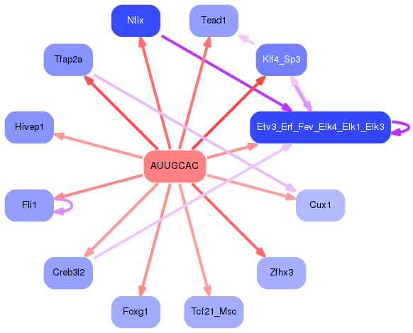 PNG image of the network