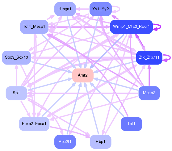 PNG image of the network