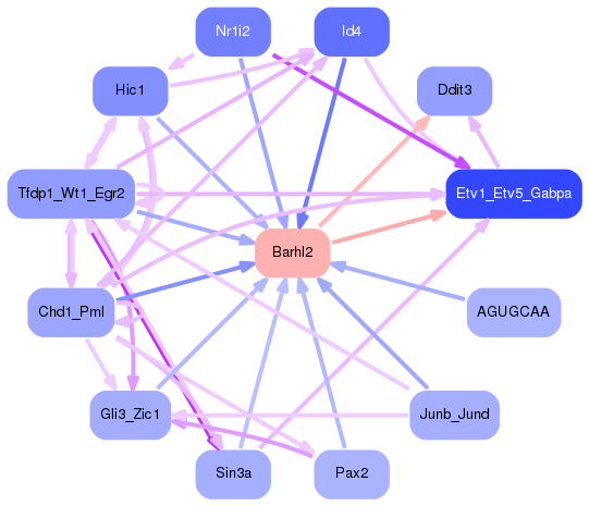 PNG image of the network