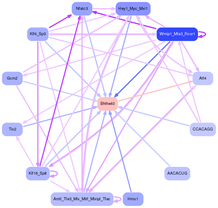 PNG image of the network