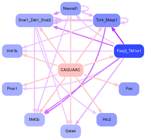 PNG image of the network