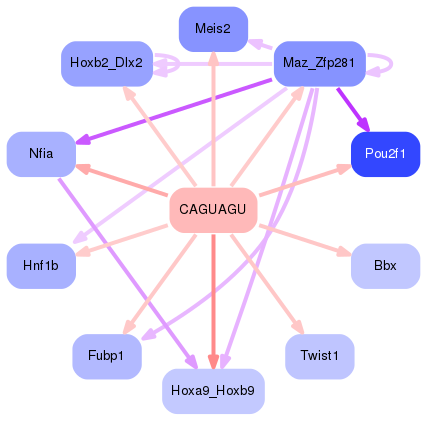 PNG image of the network