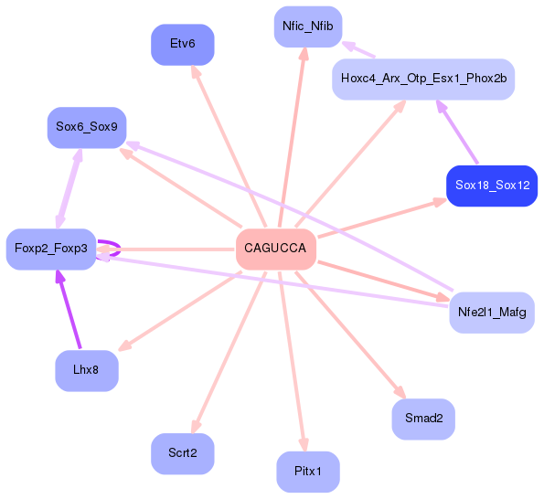 PNG image of the network