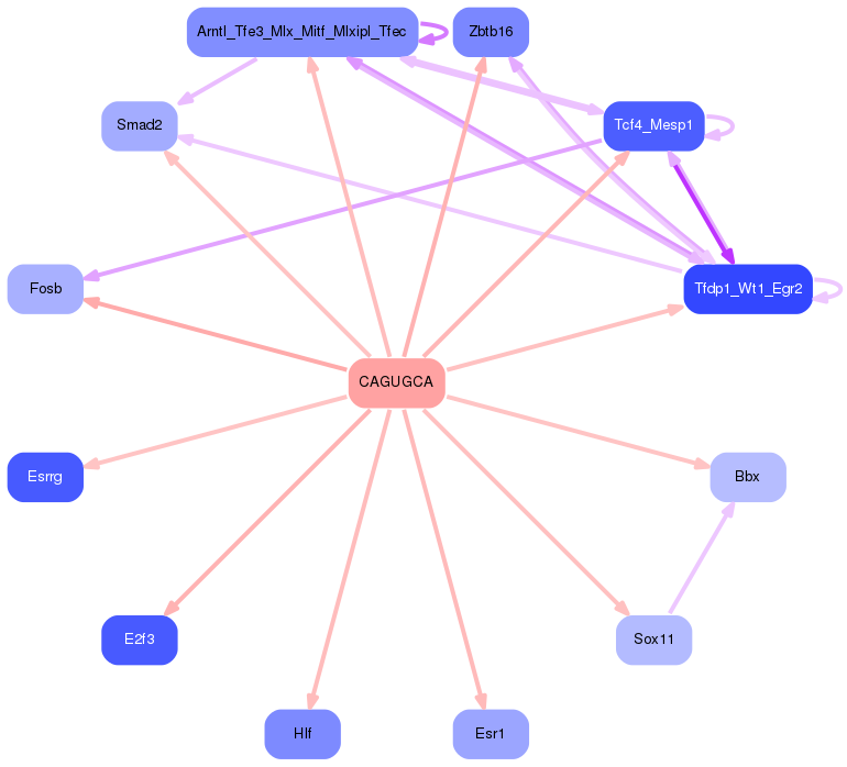 PNG image of the network