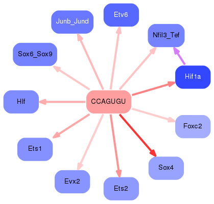 PNG image of the network