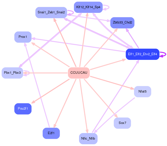 PNG image of the network