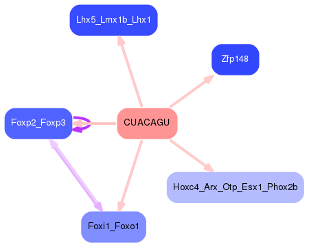 PNG image of the network