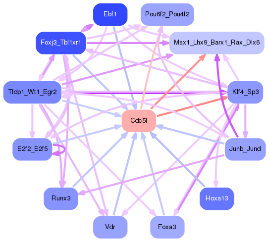PNG image of the network