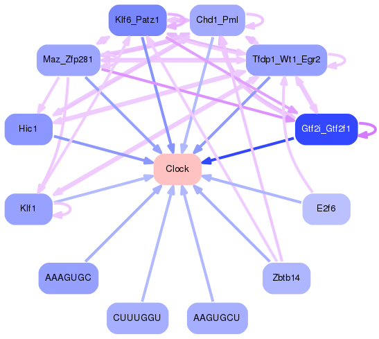 PNG image of the network
