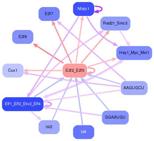 PNG image of the network