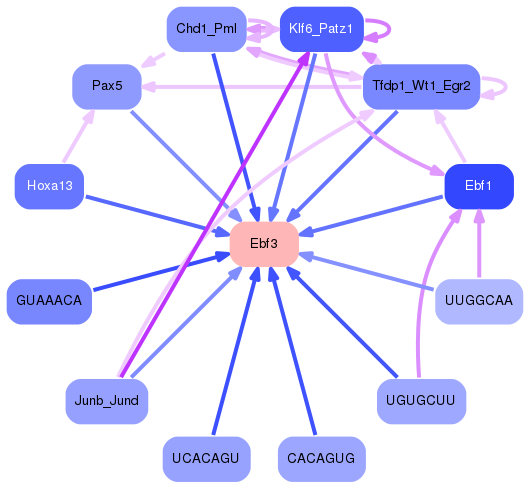 PNG image of the network
