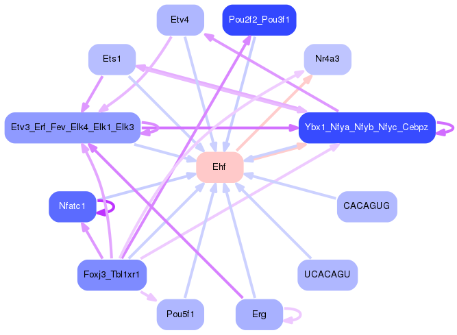 PNG image of the network