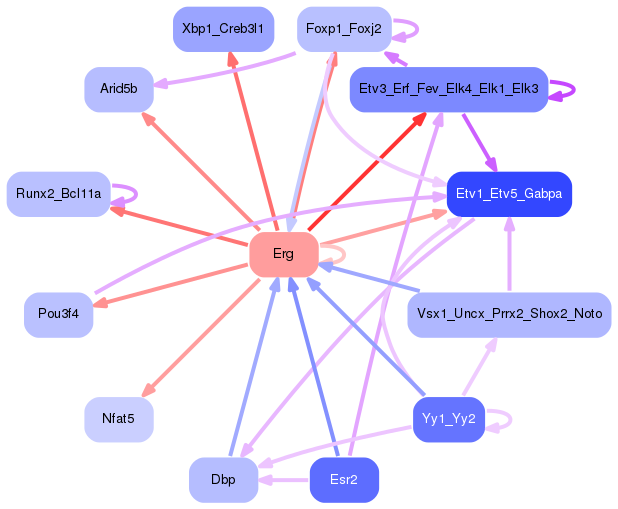 PNG image of the network