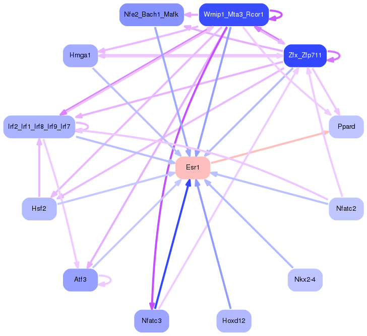 PNG image of the network