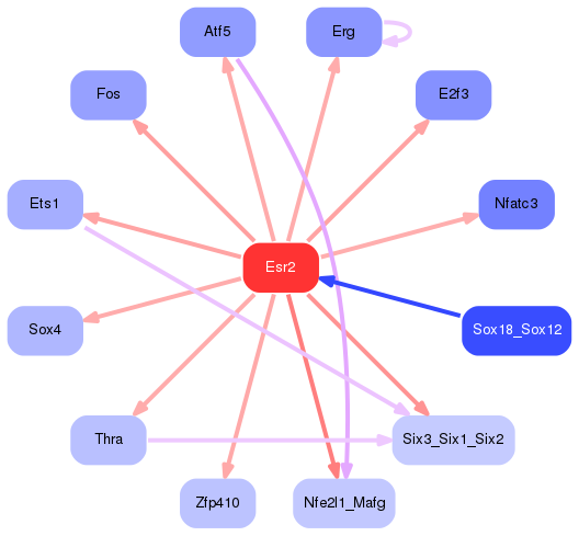 PNG image of the network