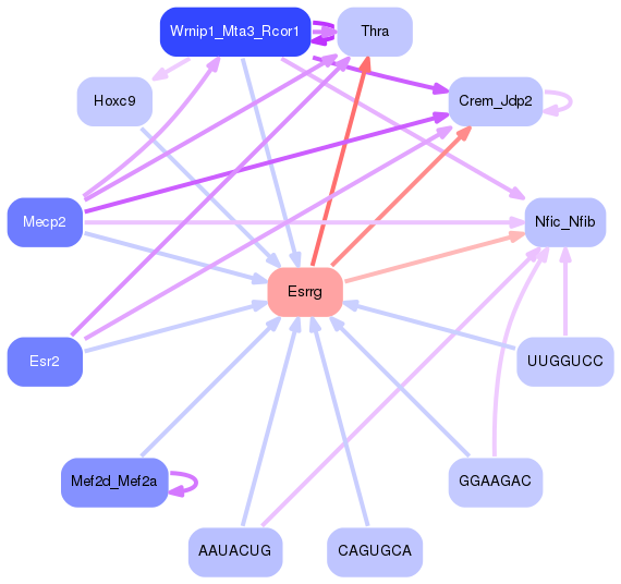 PNG image of the network