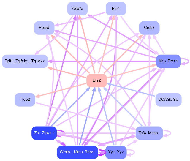 PNG image of the network
