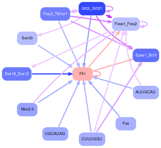 PNG image of the network