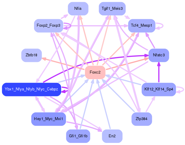 PNG image of the network
