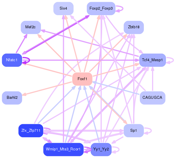 PNG image of the network