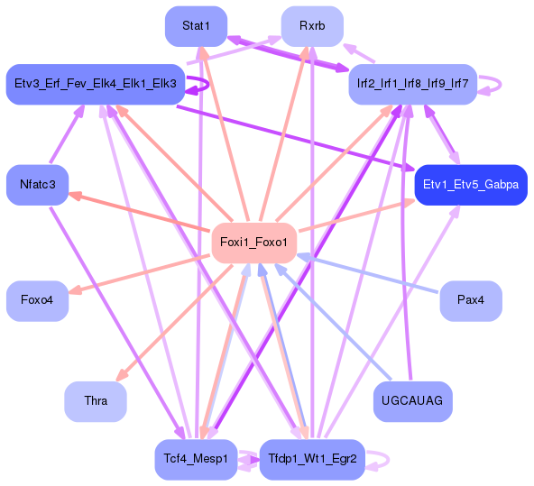 PNG image of the network