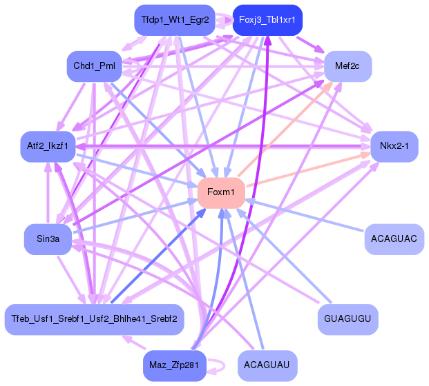 PNG image of the network