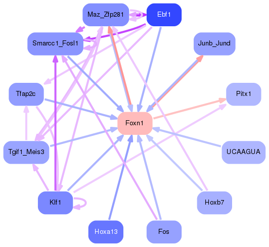 PNG image of the network