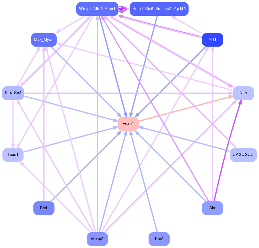 PNG image of the network