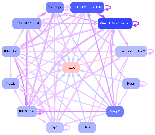 PNG image of the network