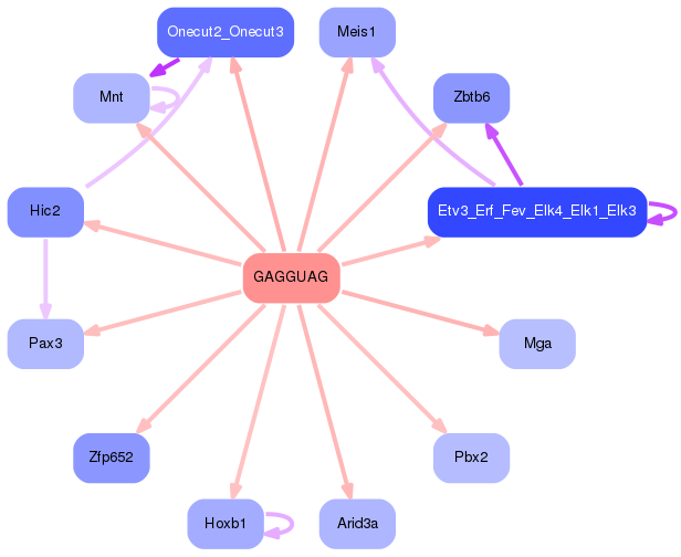 PNG image of the network