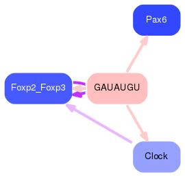 PNG image of the network