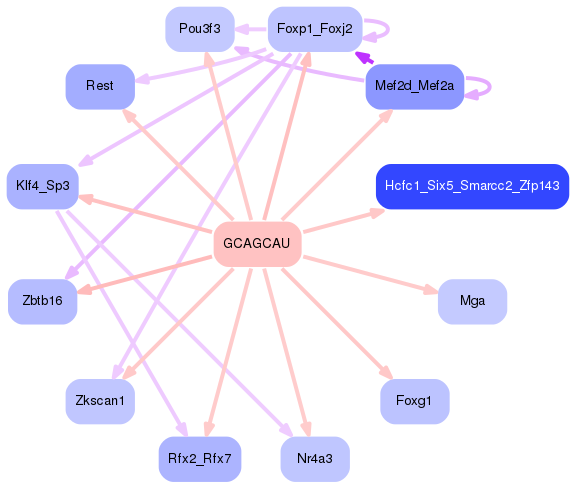 PNG image of the network