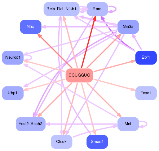 PNG image of the network