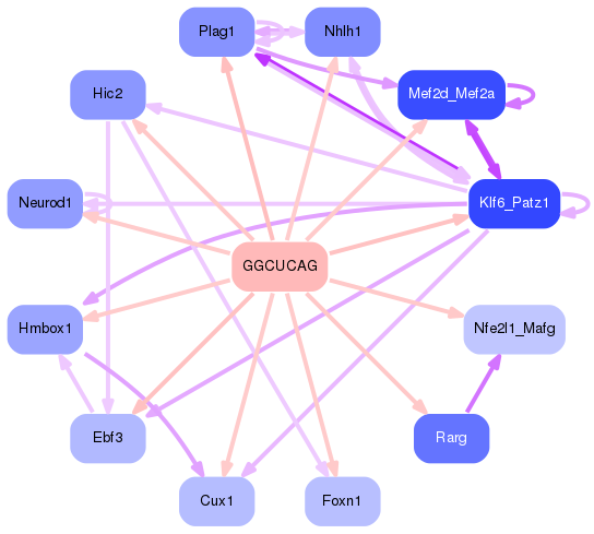 PNG image of the network