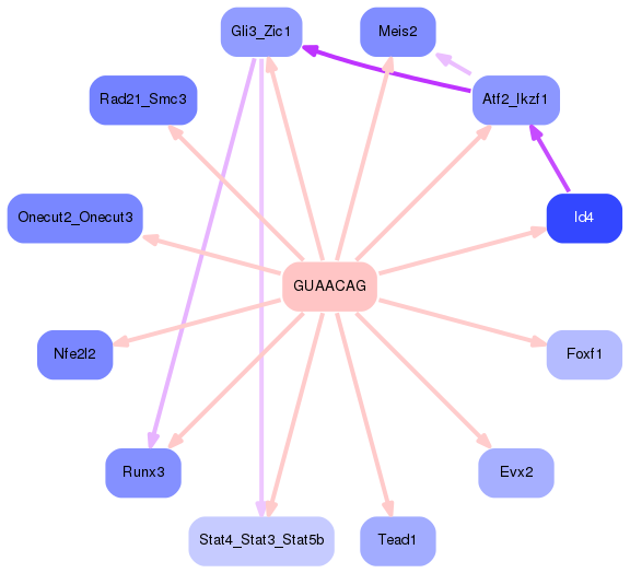 PNG image of the network
