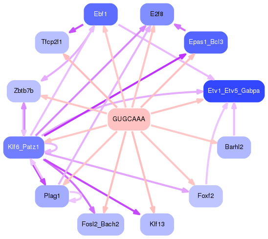 PNG image of the network