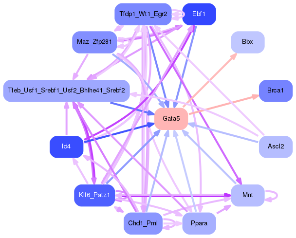 PNG image of the network