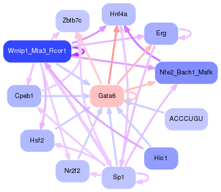 PNG image of the network