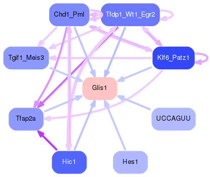 PNG image of the network