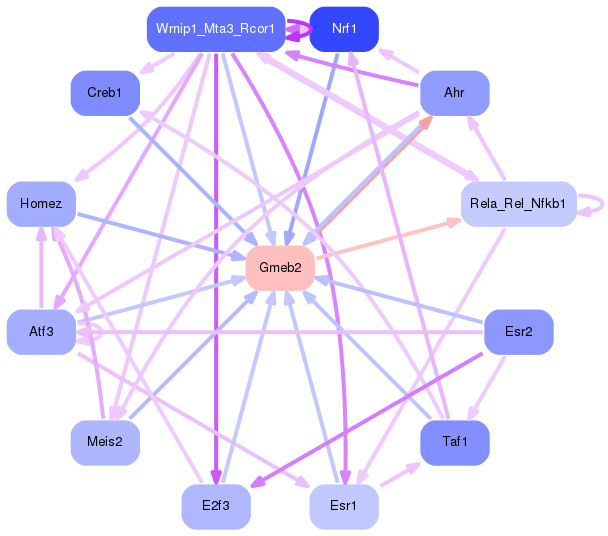 PNG image of the network