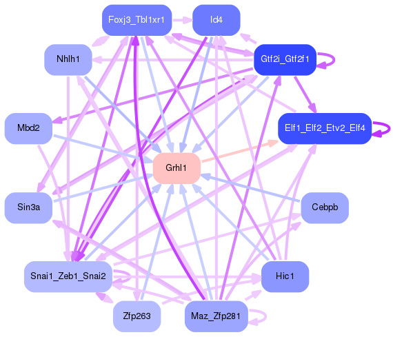 PNG image of the network