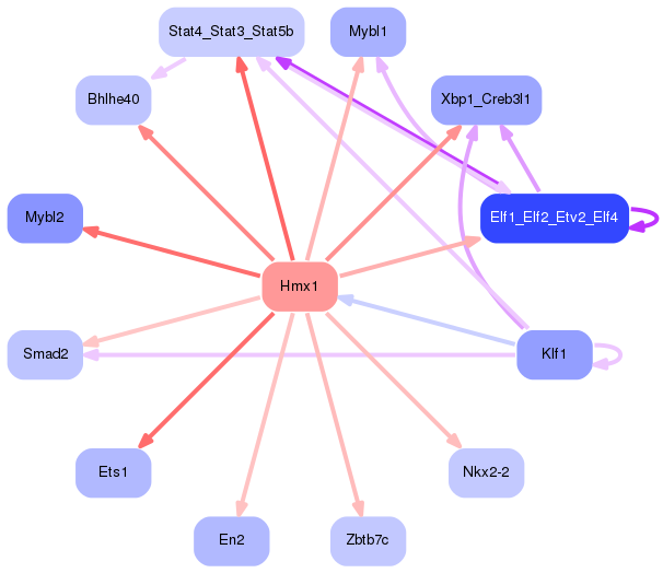 PNG image of the network