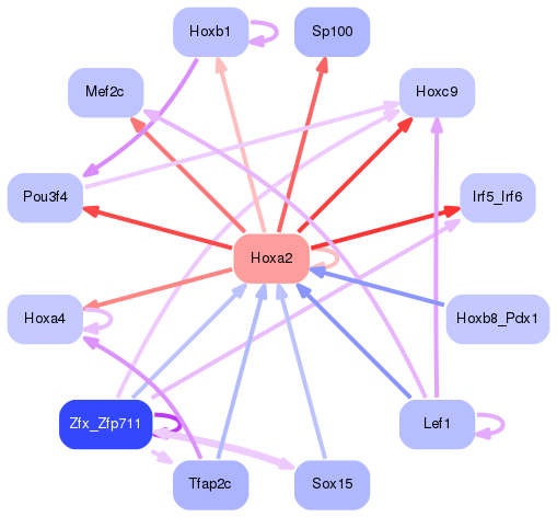 PNG image of the network