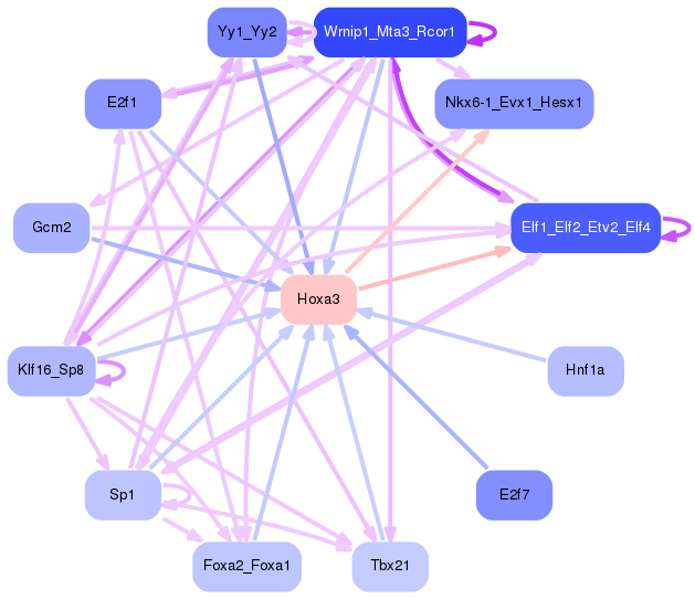 PNG image of the network