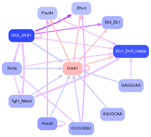 PNG image of the network