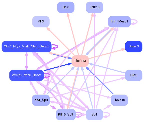 PNG image of the network