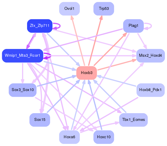 PNG image of the network
