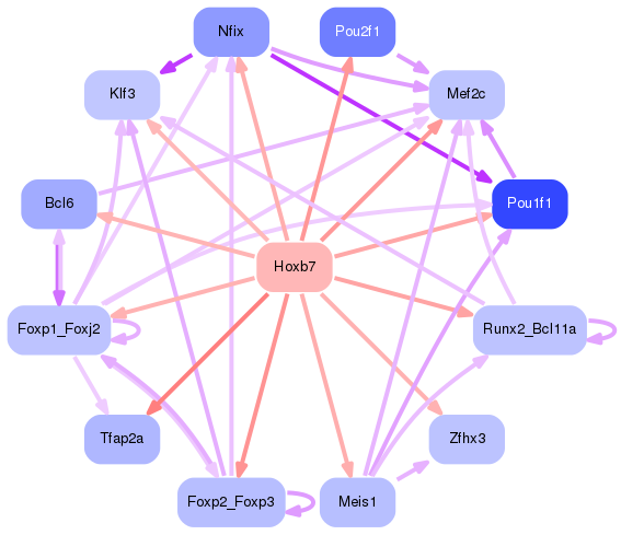 PNG image of the network