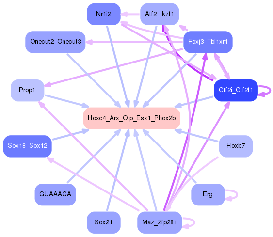 PNG image of the network