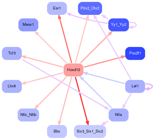 PNG image of the network